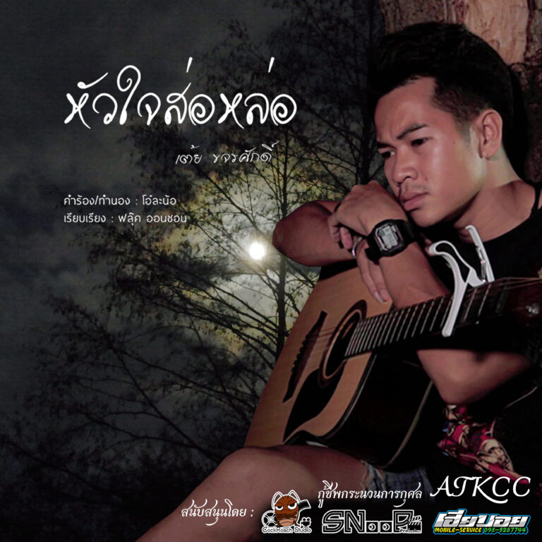 คอร์ดเพลง หัวใจส่อหล่อ – เต้ย ขจรศักดิ์